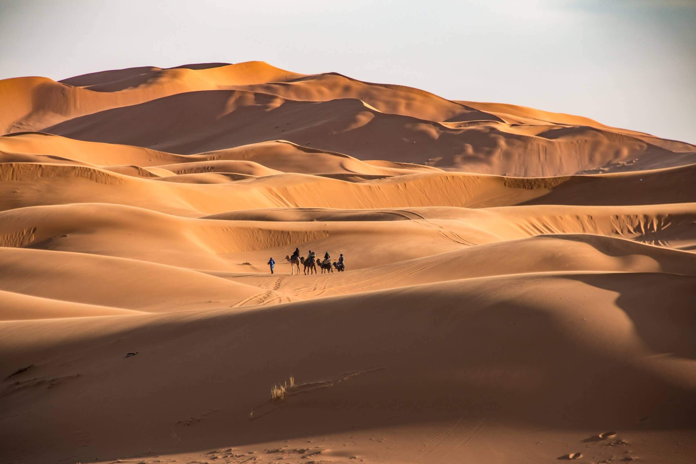 best of morocco tour