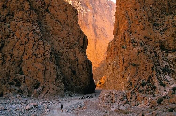 Todra Gorges