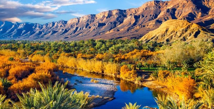 Draa valley guide