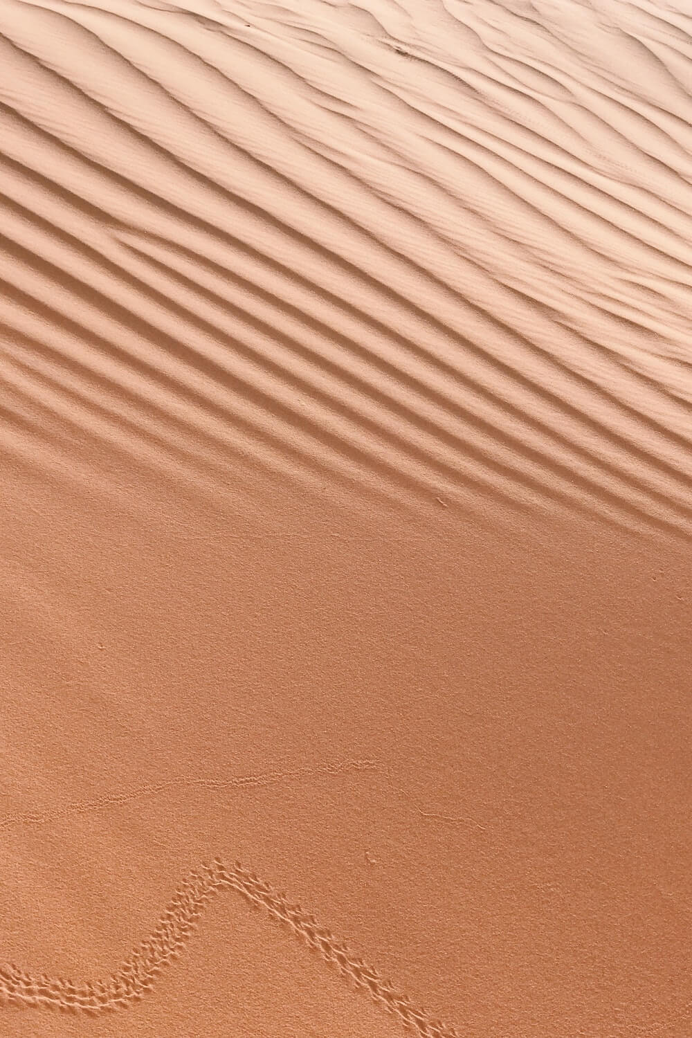Sahara desert Morocco