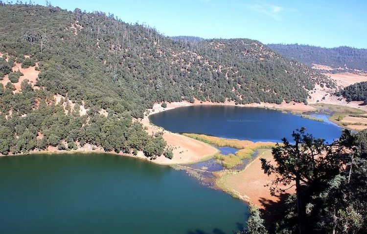 Khenifra national park