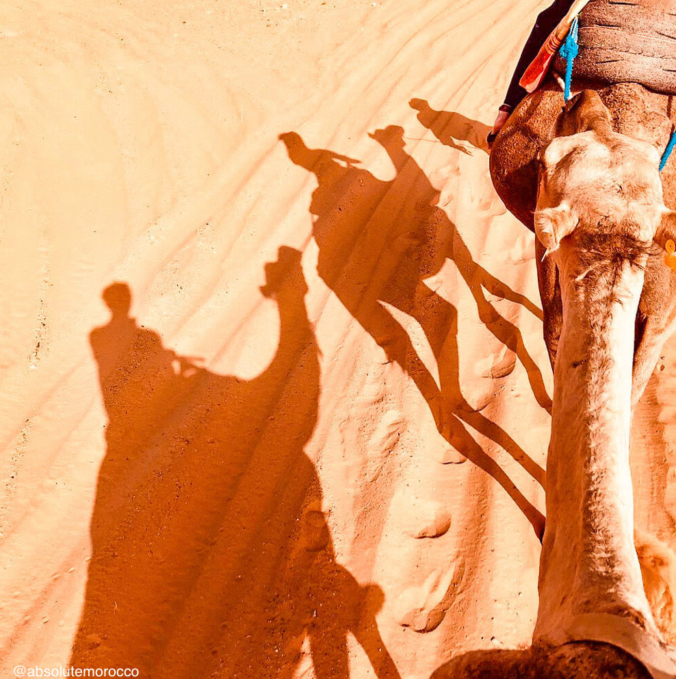 Sahara Desert, Morocco