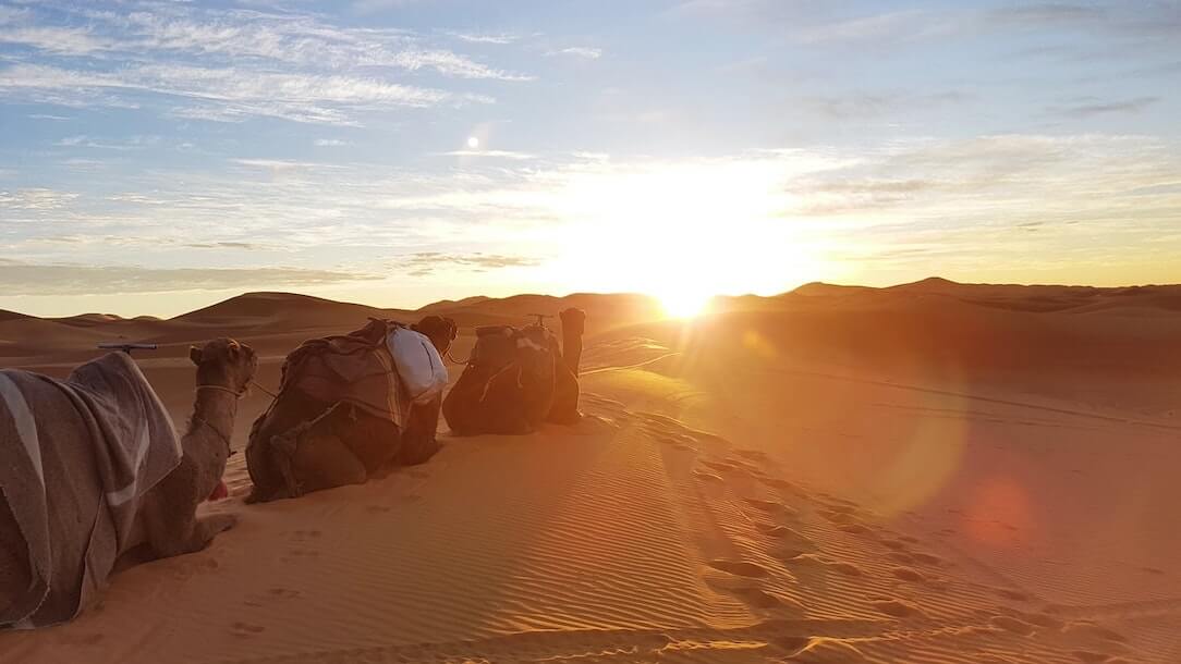 Sahara desert Morocco