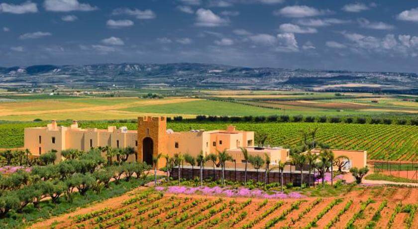Winery in Meknes, Morocco