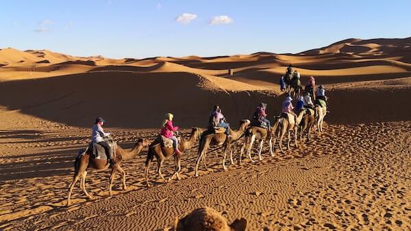 Camel Trekking in the Sahara desert