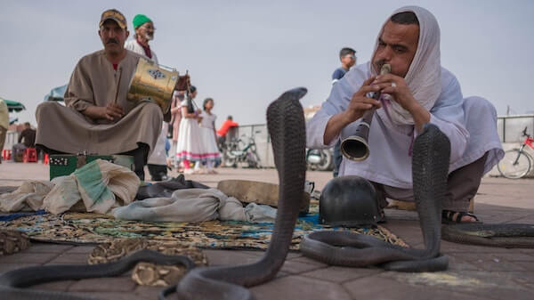 Snake charmer, Morocco