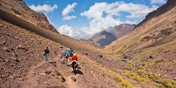 Mule riding in the Atlas mountains