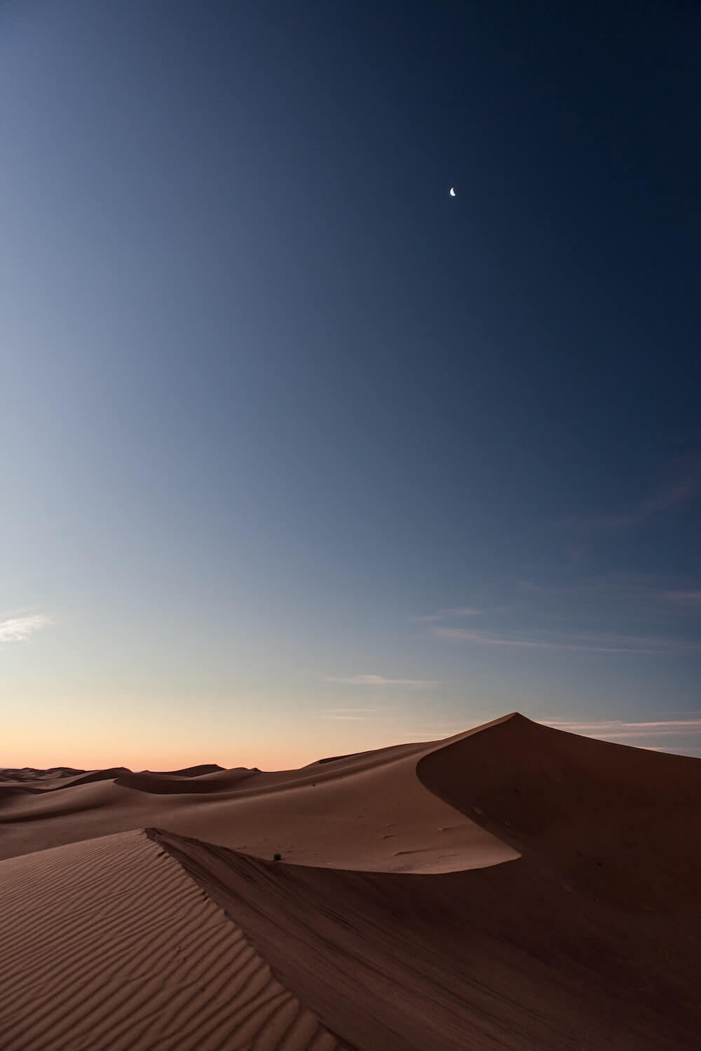 The Sahara desert